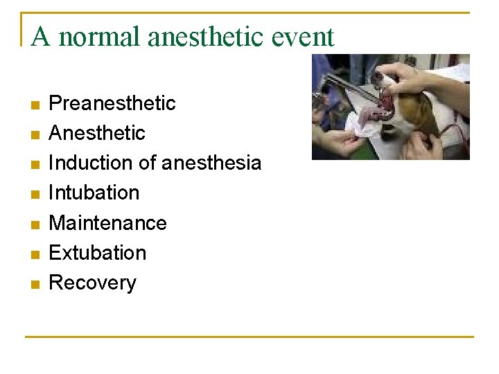 A normal anesthetic event n n n n Preanesthetic Anesthetic Induction of anesthesia Intubation