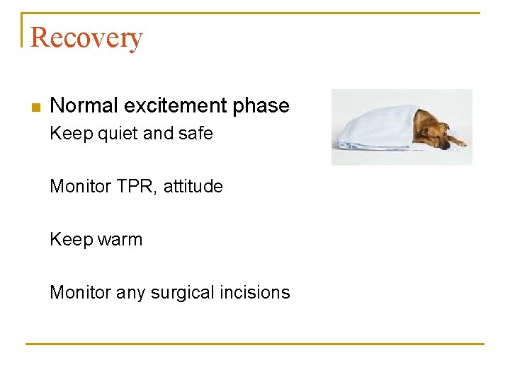 Recovery n Normal excitement phase Keep quiet and safe Monitor TPR, attitude Keep warm