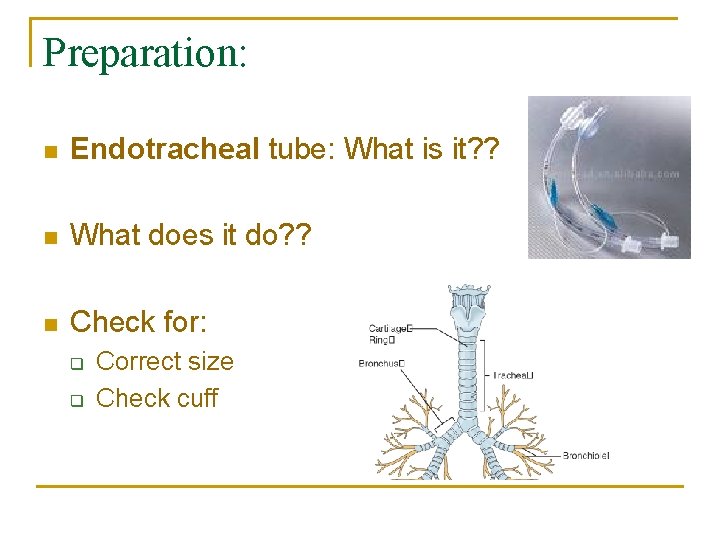 Preparation: n Endotracheal tube: What is it? ? n What does it do? ?