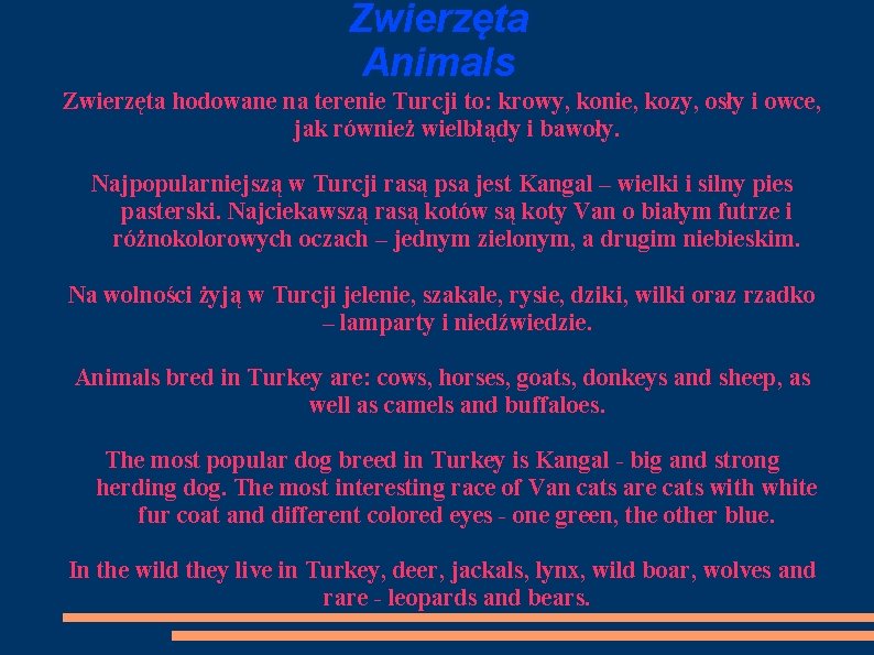 Zwierzęta Animals Zwierzęta hodowane na terenie Turcji to: krowy, konie, kozy, osły i owce,