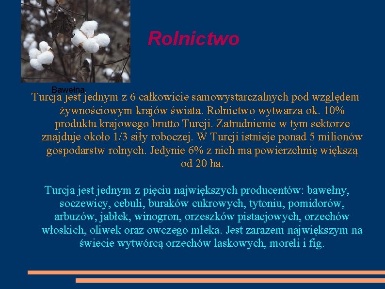 Rolnictwo Bawełna Turcja jest jednym z 6 całkowicie samowystarczalnych pod względem żywnościowym krajów świata.