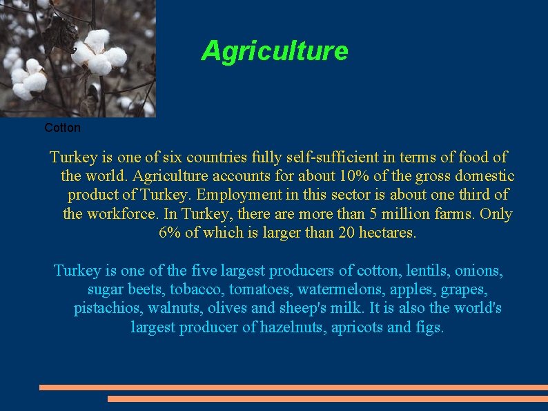 Agriculture Cotton Turkey is one of six countries fully self-sufficient in terms of food