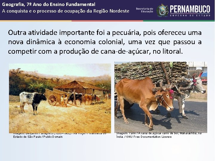Geografia, 7º Ano do Ensino Fundamental A conquista e o processo de ocupação da