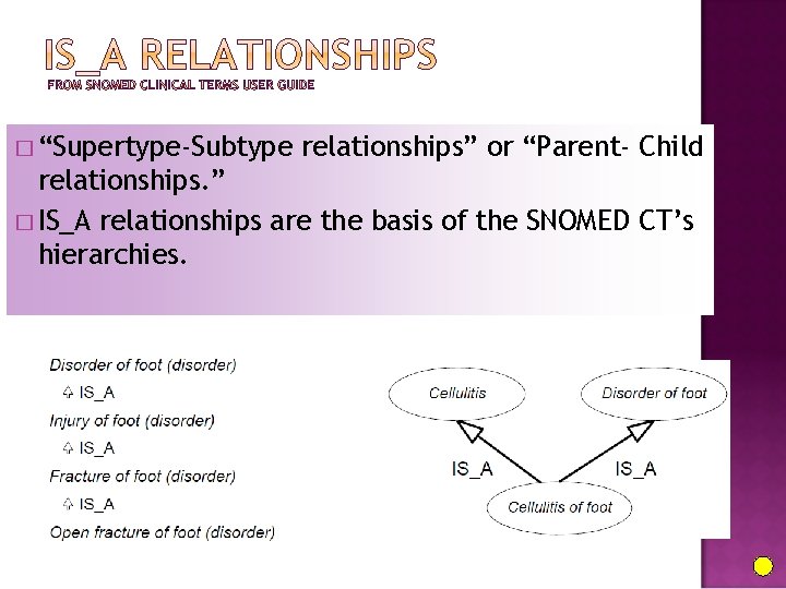 � “Supertype-Subtype relationships” or “Parent- Child relationships. ” � IS_A relationships are the basis
