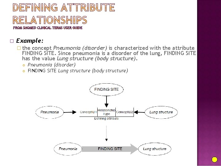 � Example: � the concept Pneumonia (disorder) is characterized with the attribute FINDING SITE.