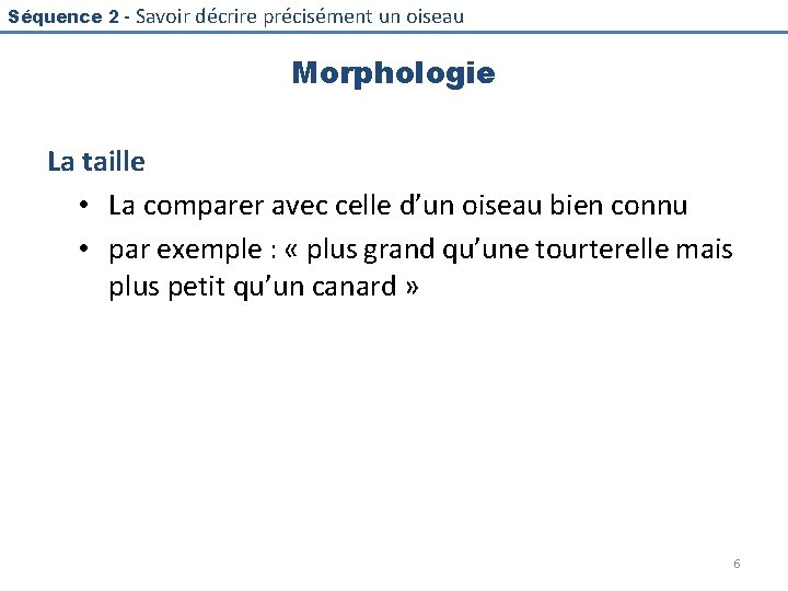 Séquence 2 - Savoir décrire précisément un oiseau Morphologie La taille • La comparer