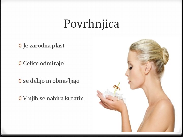 Povrhnjica 0 Je zarodna plast 0 Celice odmirajo 0 se delijo in obnavljajo 0