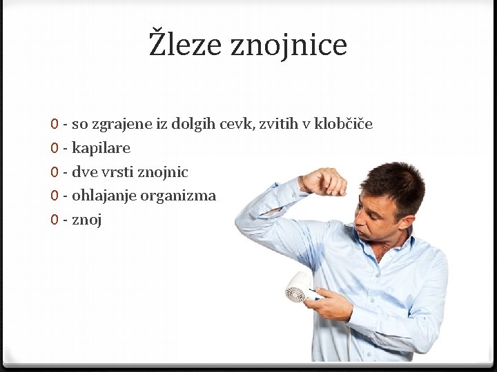 Žleze znojnice 0 - so zgrajene iz dolgih cevk, zvitih v klobčiče 0 -
