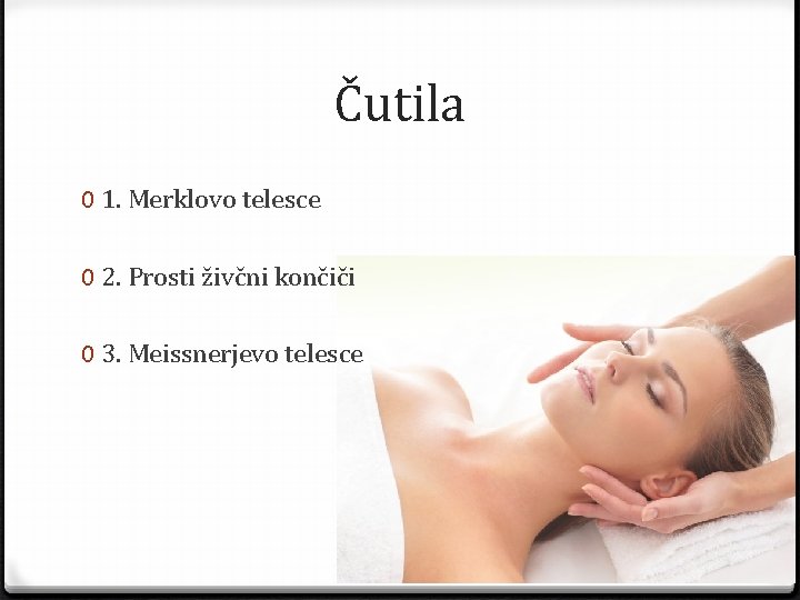Čutila 0 1. Merklovo telesce 0 2. Prosti živčni končiči 0 3. Meissnerjevo telesce
