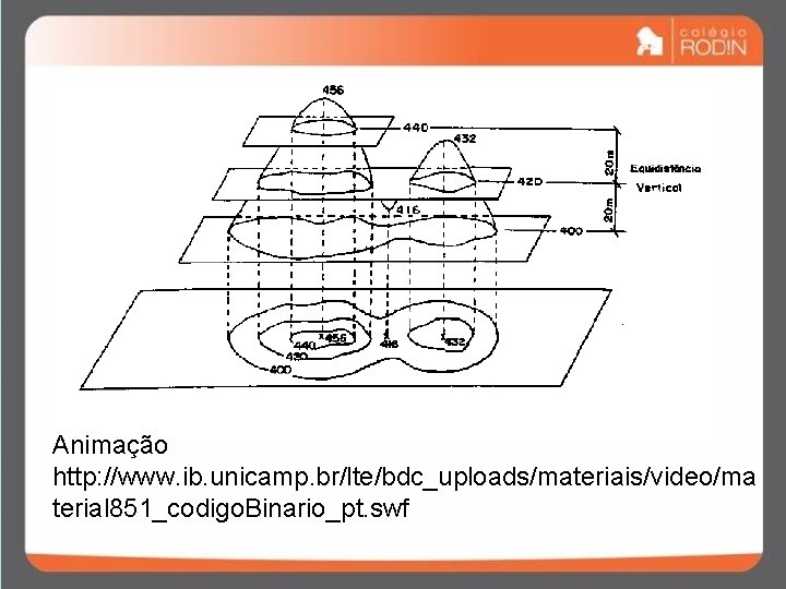 Animação http: //www. ib. unicamp. br/lte/bdc_uploads/materiais/video/ma terial 851_codigo. Binario_pt. swf Animação http: //www. ib. unicamp. br/lte/bdc_uploads/materiais/video/ma terial 851_codigo. Binario_pt. swf