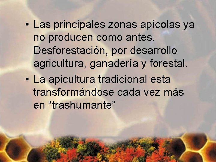  • Las principales zonas apícolas ya no producen como antes. Desforestación, por desarrollo