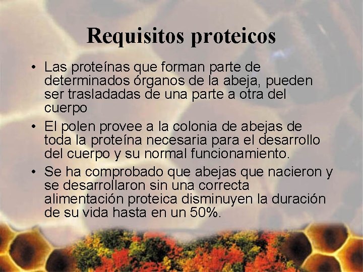 Requisitos proteicos • Las proteínas que forman parte de determinados órganos de la abeja,