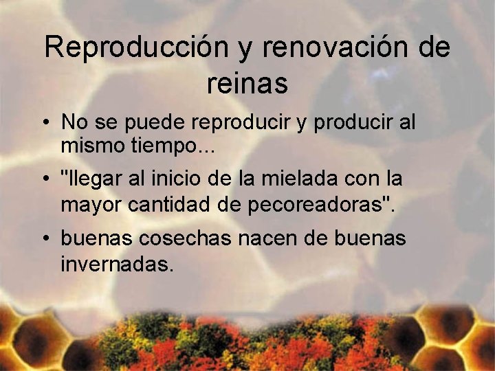 Reproducción y renovación de reinas • No se puede reproducir y producir al mismo