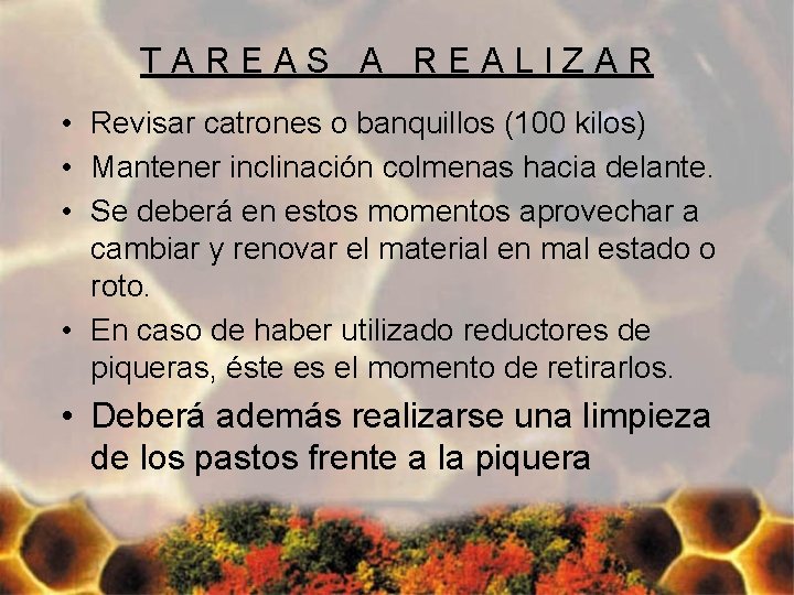 TAREAS A REALIZAR • Revisar catrones o banquillos (100 kilos) • Mantener inclinación colmenas