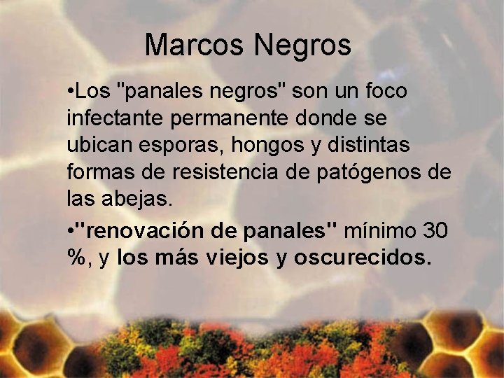 Marcos Negros • Los "panales negros" son un foco infectante permanente donde se ubican