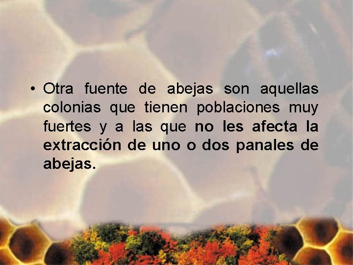  • Otra fuente de abejas son aquellas colonias que tienen poblaciones muy fuertes