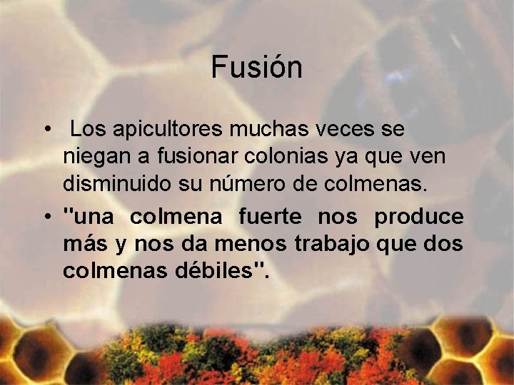 Fusión • Los apicultores muchas veces se niegan a fusionar colonias ya que ven