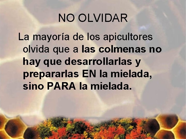 NO OLVIDAR La mayoría de los apicultores olvida que a las colmenas no hay