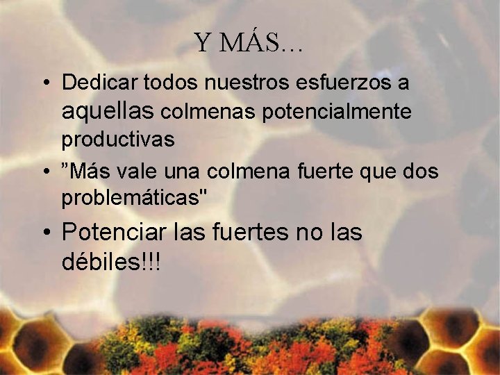 Y MÁS… • Dedicar todos nuestros esfuerzos a aquellas colmenas potencialmente productivas • ”Más