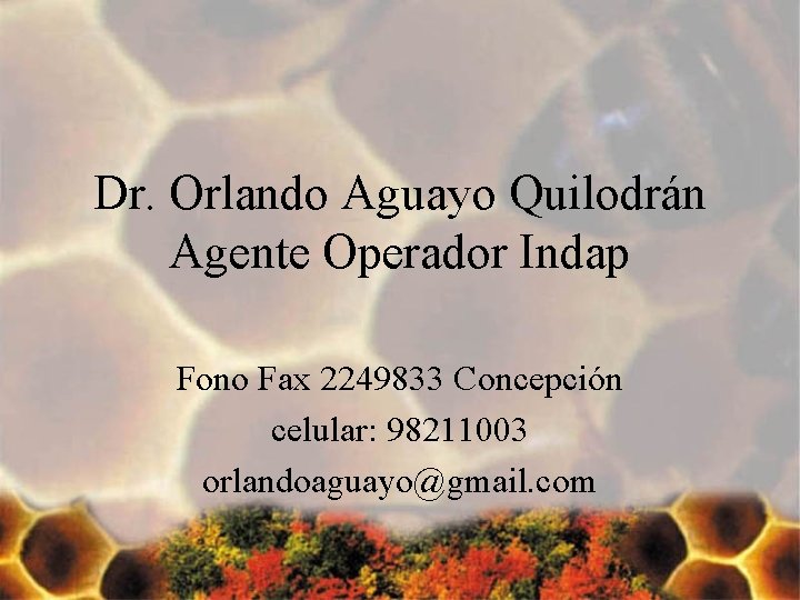 Dr. Orlando Aguayo Quilodrán Agente Operador Indap Fono Fax 2249833 Concepción celular: 98211003 orlandoaguayo@gmail.