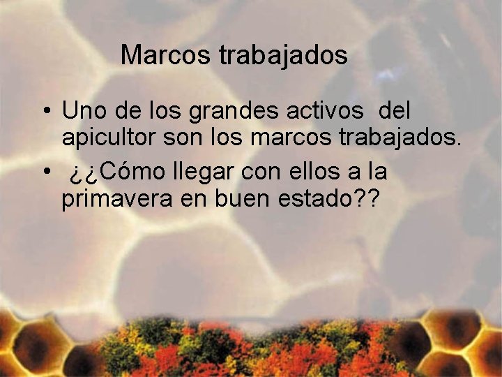 Marcos trabajados • Uno de los grandes activos del apicultor son los marcos trabajados.