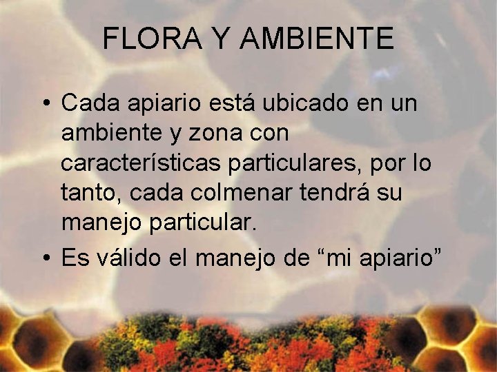 FLORA Y AMBIENTE • Cada apiario está ubicado en un ambiente y zona con