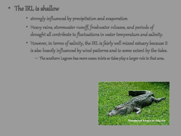 • The IRL is shallow • strongly influenced by precipitation and evaporation • • The IRL is shallow • strongly influenced by precipitation and evaporation •