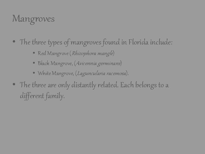Mangroves • The three types of mangroves found in Florida include: • Red Mangrove Mangroves • The three types of mangroves found in Florida include: • Red Mangrove