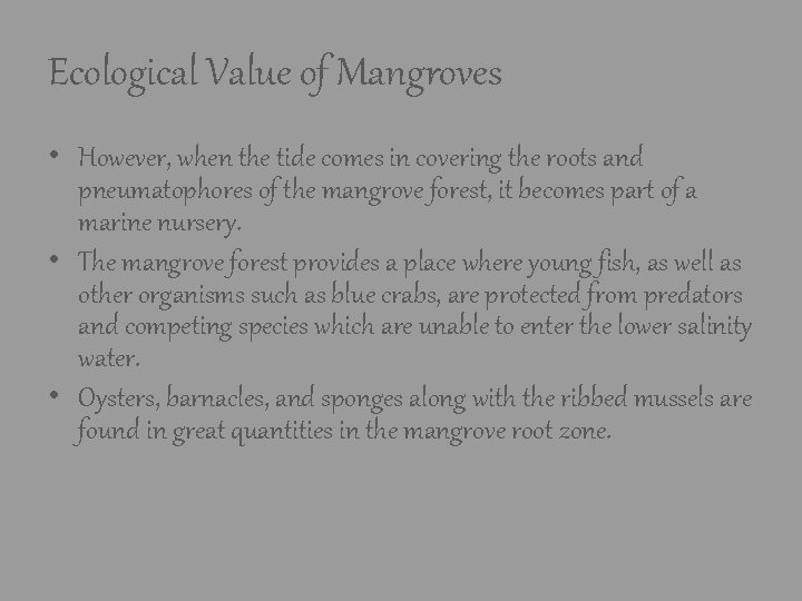 Ecological Value of Mangroves • However, when the tide comes in covering the roots Ecological Value of Mangroves • However, when the tide comes in covering the roots