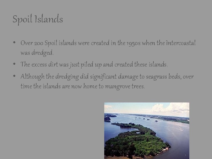 Spoil Islands • Over 200 Spoil islands were created in the 1950 s when Spoil Islands • Over 200 Spoil islands were created in the 1950 s when