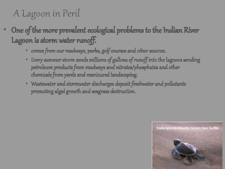 A Lagoon in Peril • One of the more prevalent ecological problems to the A Lagoon in Peril • One of the more prevalent ecological problems to the
