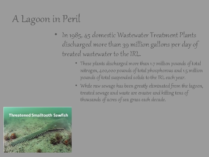 A Lagoon in Peril • In 1985, 45 domestic Wastewater Treatment Plants discharged more A Lagoon in Peril • In 1985, 45 domestic Wastewater Treatment Plants discharged more