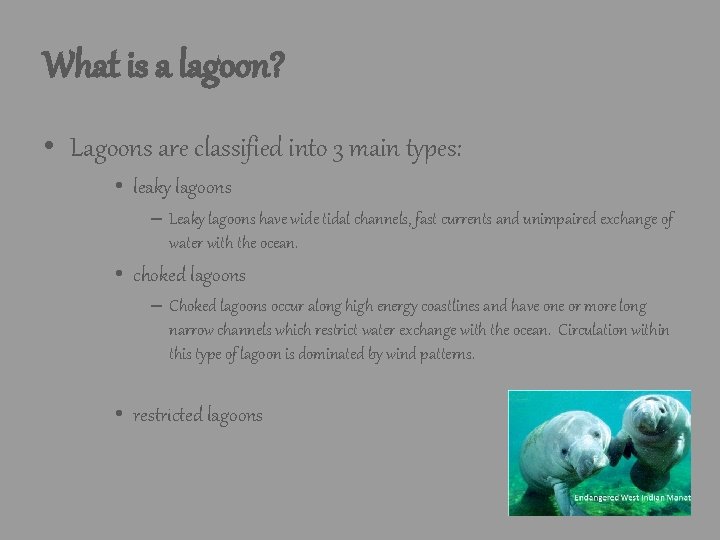What is a lagoon? • Lagoons are classified into 3 main types: • leaky What is a lagoon? • Lagoons are classified into 3 main types: • leaky