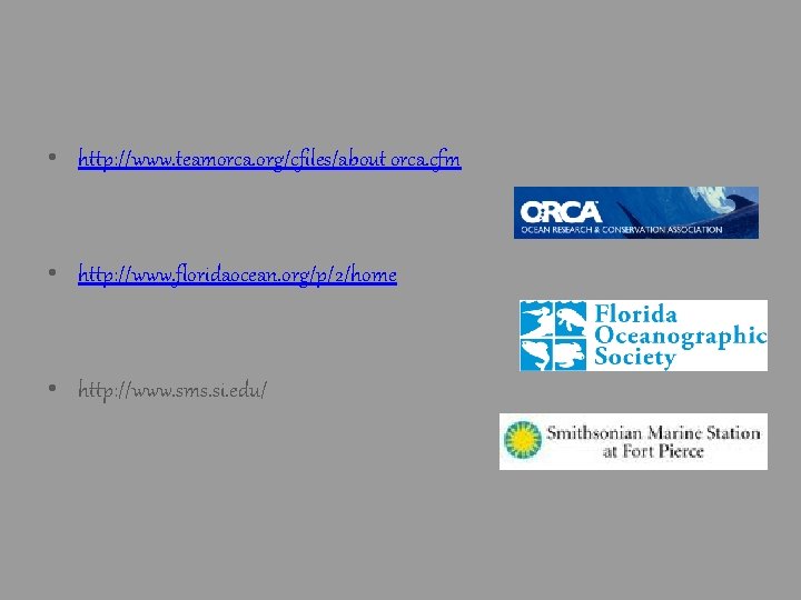 • http: //www. teamorca. org/cfiles/about_orca. cfm • http: //www. floridaocean. org/p/2/home • http: • http: //www. teamorca. org/cfiles/about_orca. cfm • http: //www. floridaocean. org/p/2/home • http: