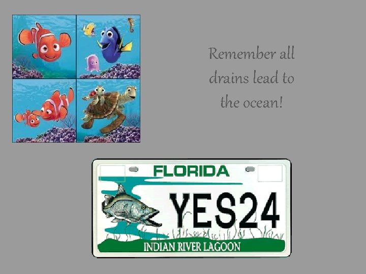 Remember all drains lead to the ocean! Remember all drains lead to the ocean!