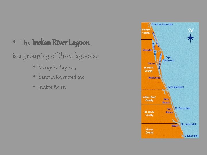 • The Indian River Lagoon is a grouping of three lagoons: • Mosquito • The Indian River Lagoon is a grouping of three lagoons: • Mosquito