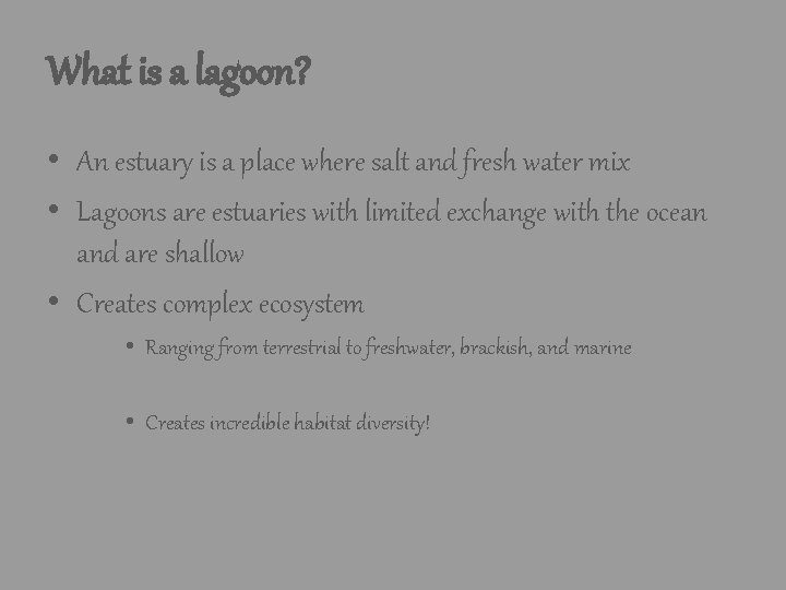What is a lagoon? • An estuary is a place where salt and fresh What is a lagoon? • An estuary is a place where salt and fresh