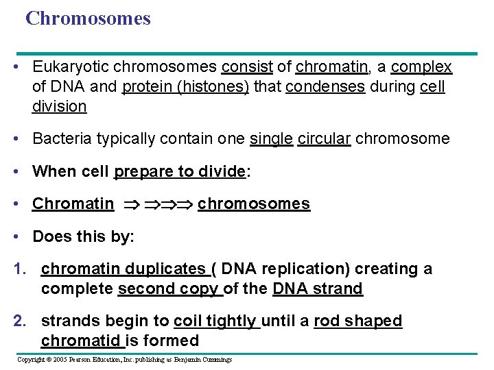 Chromosomes • Eukaryotic chromosomes consist of chromatin, a complex of DNA and protein (histones) Chromosomes • Eukaryotic chromosomes consist of chromatin, a complex of DNA and protein (histones)