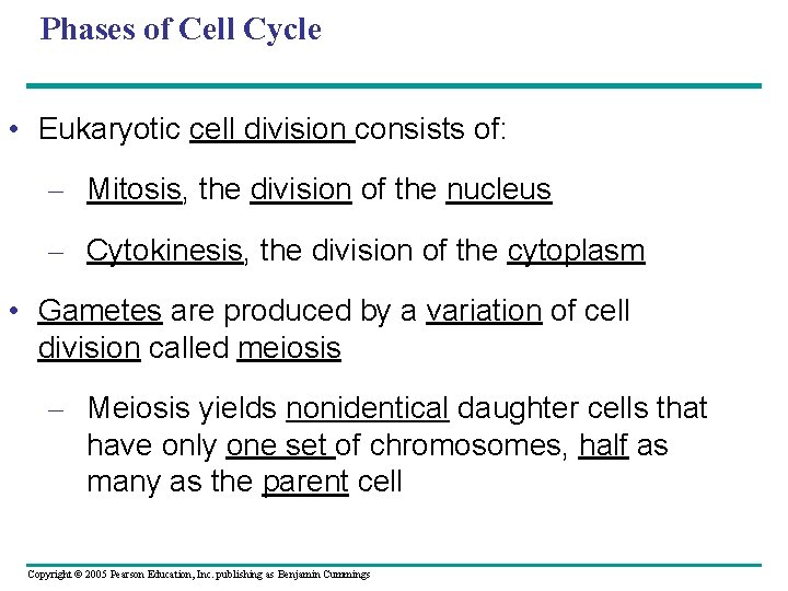 Phases of Cell Cycle • Eukaryotic cell division consists of: – Mitosis, the division Phases of Cell Cycle • Eukaryotic cell division consists of: – Mitosis, the division