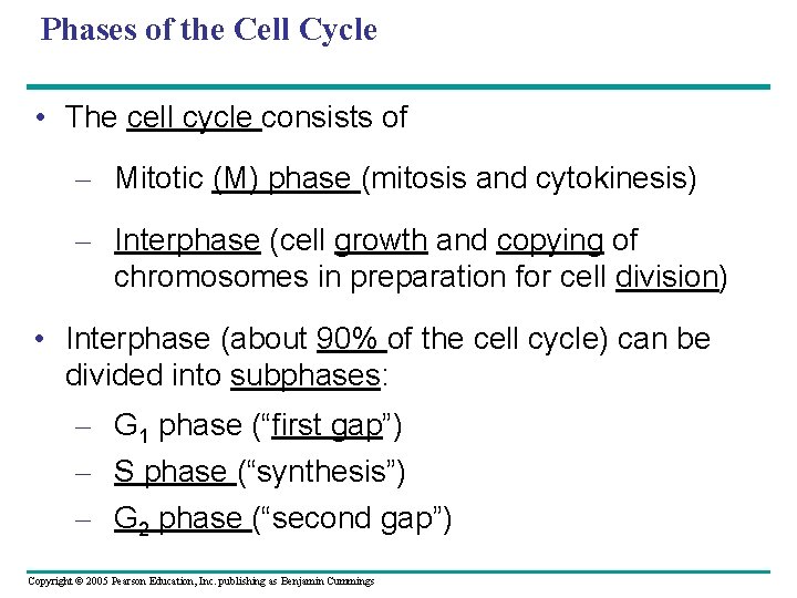 Phases of the Cell Cycle • The cell cycle consists of – Mitotic (M) Phases of the Cell Cycle • The cell cycle consists of – Mitotic (M)