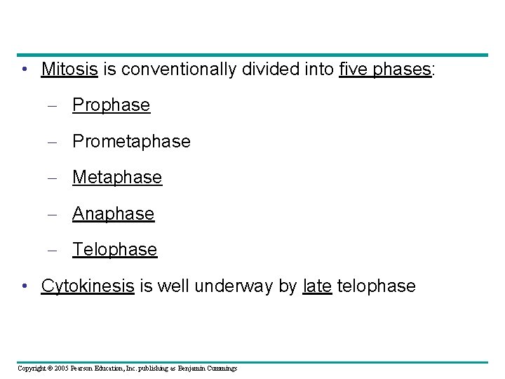 • Mitosis is conventionally divided into five phases: – Prophase – Prometaphase – • Mitosis is conventionally divided into five phases: – Prophase – Prometaphase –