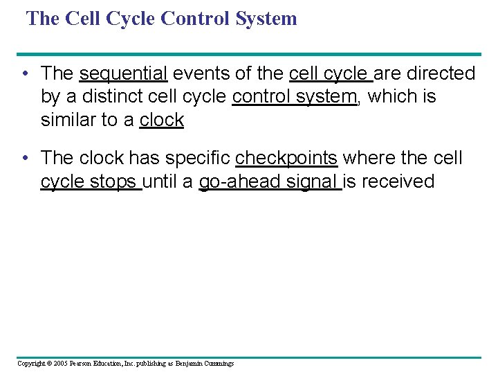 The Cell Cycle Control System • The sequential events of the cell cycle are The Cell Cycle Control System • The sequential events of the cell cycle are