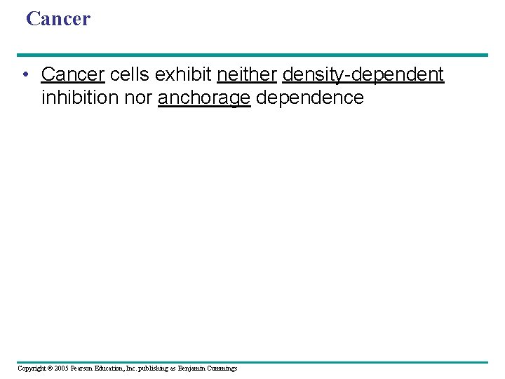 Cancer • Cancer cells exhibit neither density-dependent inhibition nor anchorage dependence Copyright © 2005 Cancer • Cancer cells exhibit neither density-dependent inhibition nor anchorage dependence Copyright © 2005