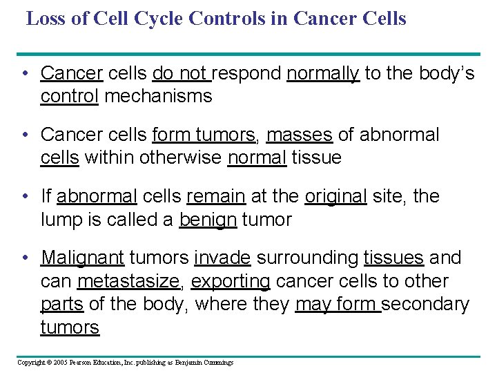 Loss of Cell Cycle Controls in Cancer Cells • Cancer cells do not respond Loss of Cell Cycle Controls in Cancer Cells • Cancer cells do not respond