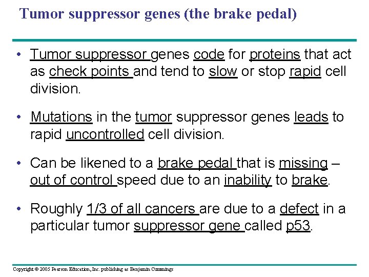 Tumor suppressor genes (the brake pedal) • Tumor suppressor genes code for proteins that Tumor suppressor genes (the brake pedal) • Tumor suppressor genes code for proteins that