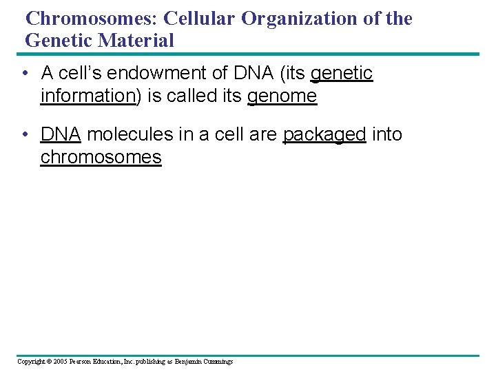 Chromosomes: Cellular Organization of the Genetic Material • A cell’s endowment of DNA (its Chromosomes: Cellular Organization of the Genetic Material • A cell’s endowment of DNA (its