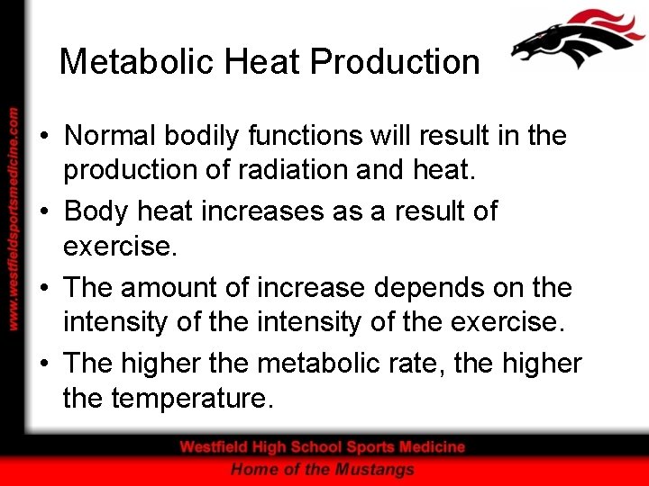 Metabolic Heat Production • Normal bodily functions will result in the production of radiation