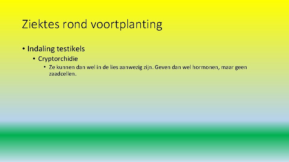 Ziektes rond voortplanting • Indaling testikels • Cryptorchidie • Ze kunnen dan wel in