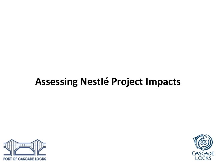 Assessing Nestlé Project Impacts 