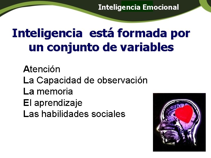 Inteligencia Emocional Panamá Inteligencia está formada por un conjunto de variables Atención La Capacidad Inteligencia Emocional Panamá Inteligencia está formada por un conjunto de variables Atención La Capacidad